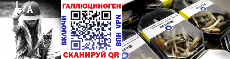 Галлюциногенные грибы Psilocybine cubensis Кувандык